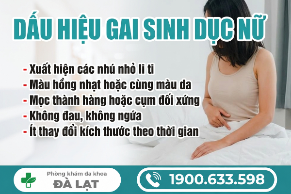 Hình ảnh minh họa
